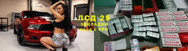 прущие крисы Магас