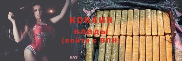 прущие грибы Майский