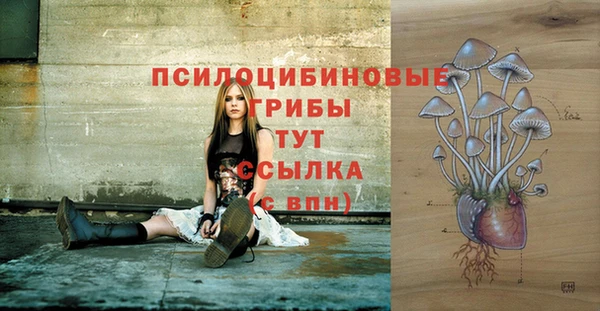 прущие крисы Магас