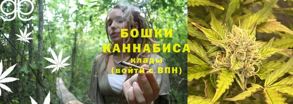 прущие крисы Магас