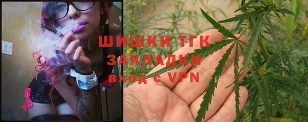 прущие крисы Магас