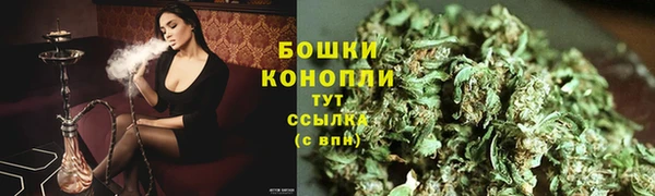 прущие грибы Майский