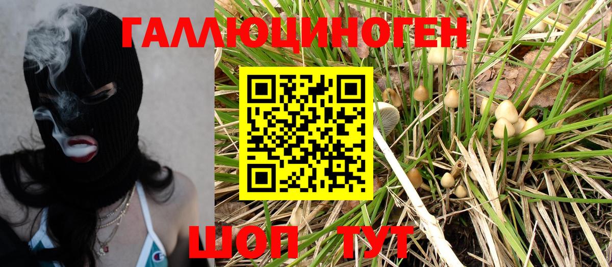 Галлюциногенные грибы Magic Shrooms  наркотики  Галлюциногенные грибы Psilocybe  Тулун  Вход с VPN 