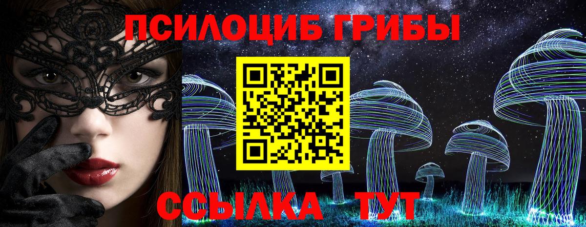 COCAIN Тулун