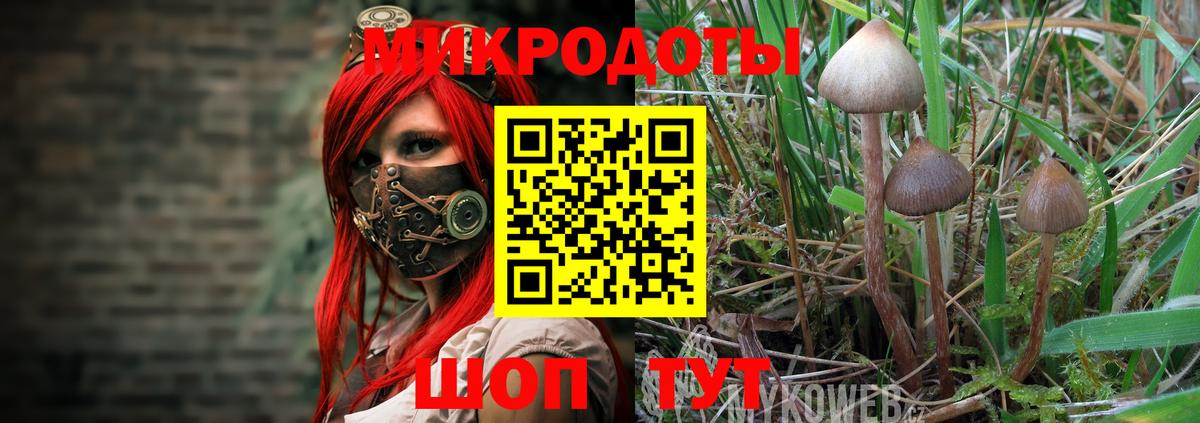 Псилоцибиновые грибы ЛСД Тулун