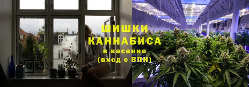 Шишки марихуана SATIVA & INDICA  hydra зеркало  Тулун  где продают  